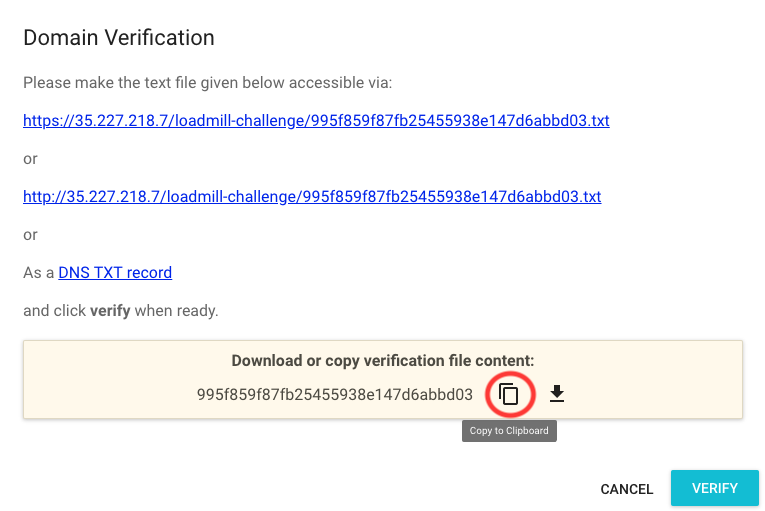 Domain Verification
